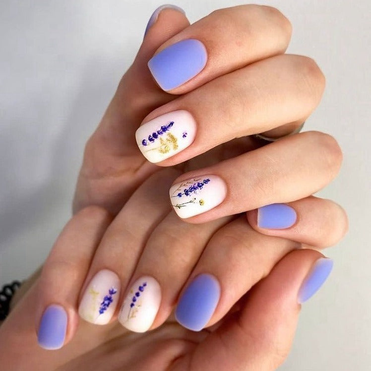 HOLY MOLLY Base Color #6, 15ml-2